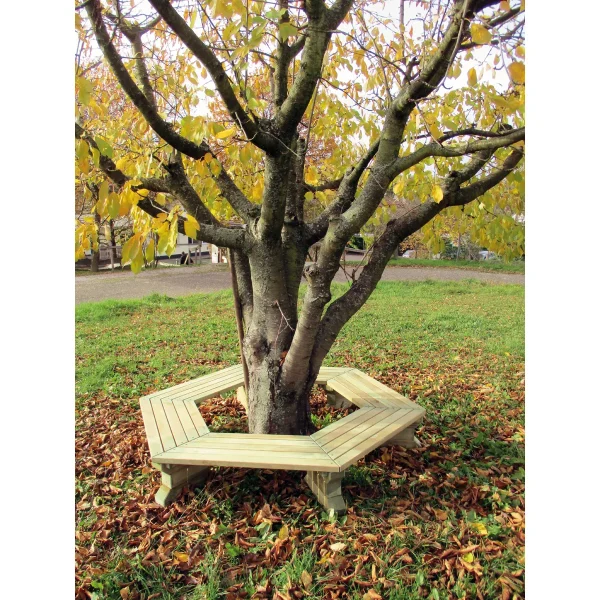 Banc d'arbre hexagonal en pin — Kiki-Ena matériel de bricolage bois naturel