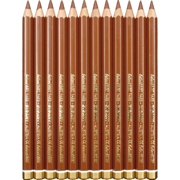belcolART Farb Gigant 12 crayons marrons — Jouet pédagogique Eduplay pour la maternelle