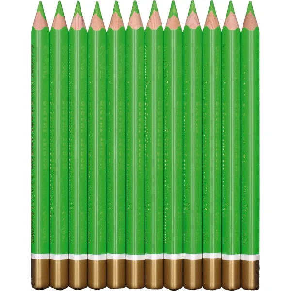 belcolART Farb Gigant Trigon 12 crayons vert clair — Eduplay jouet pédagogique Maternelle