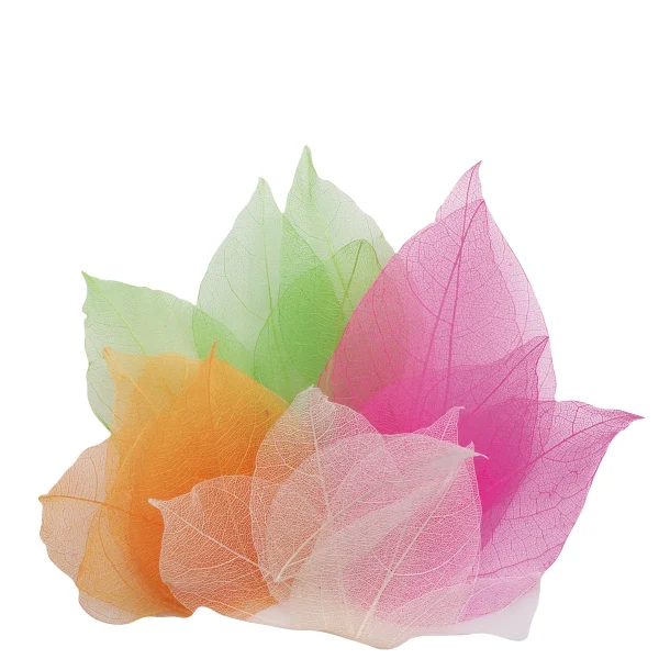 Véritables feuilles de magnolia, 300 pièces — Eduplay jouet éducatif crèche