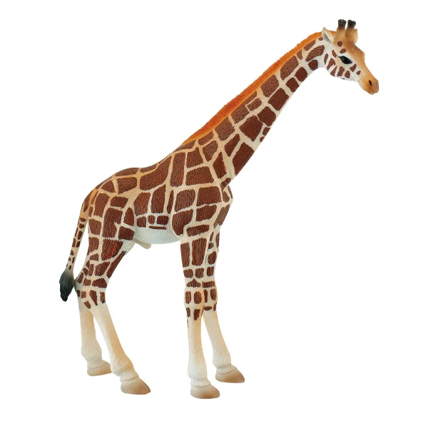 Figurine Girafe — Jouet éducatif Eduplay