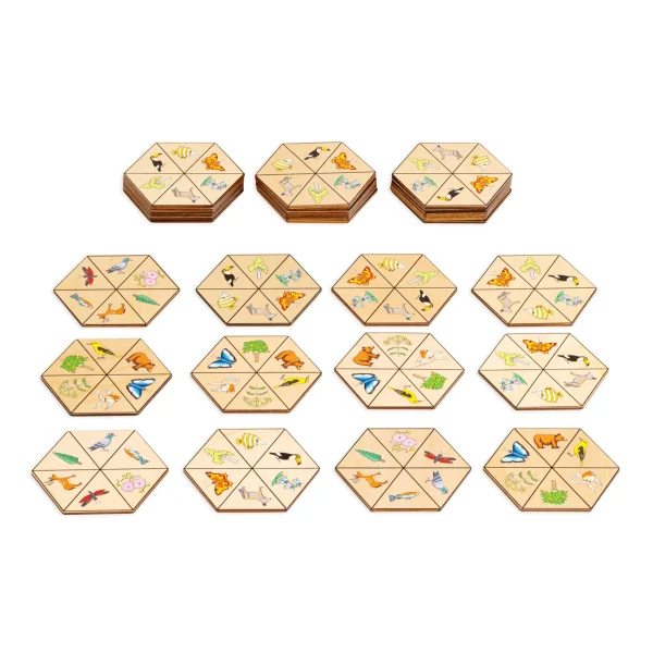Hexagone nature — Eduplay jeu pédagogique Kita