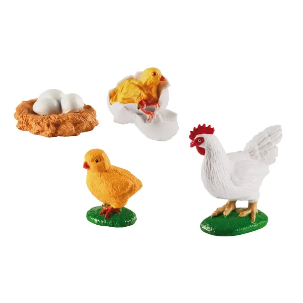 Cycles de vie Poule — Eduplay jeu éducatif maternelle