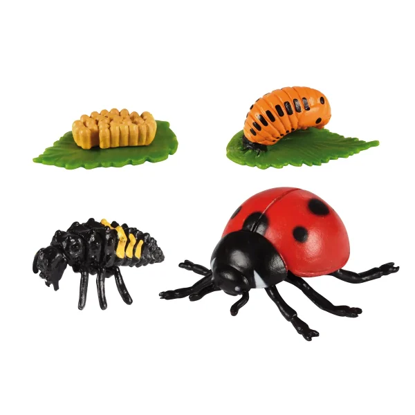 Cycles de vie de la coccinelle — Eduplay jouet pédagogique crèche