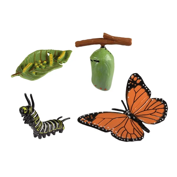 Cycles de vie Papillon — Eduplay jeu éducatif maternelle