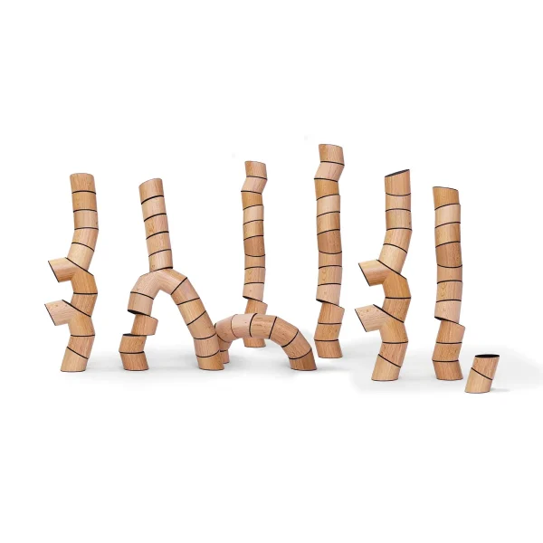 Loggos 75 pièces Hêtre — Eduplay jeu éducatif maternelle