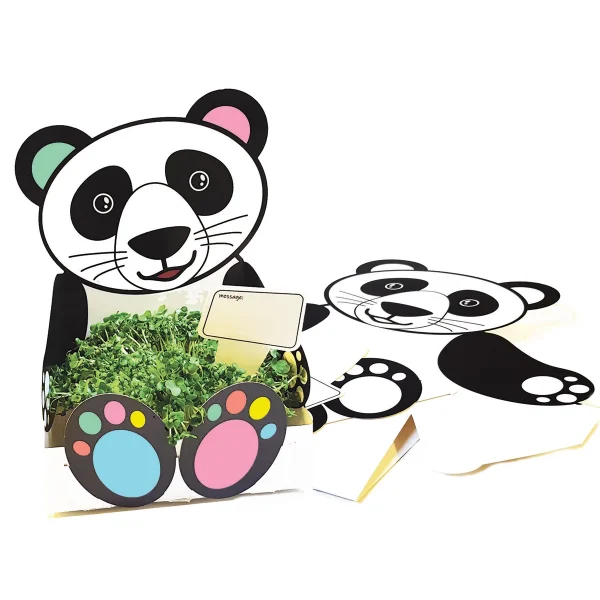 Pot de Plante Panda — Eduplay jouet pédagogique maternelle