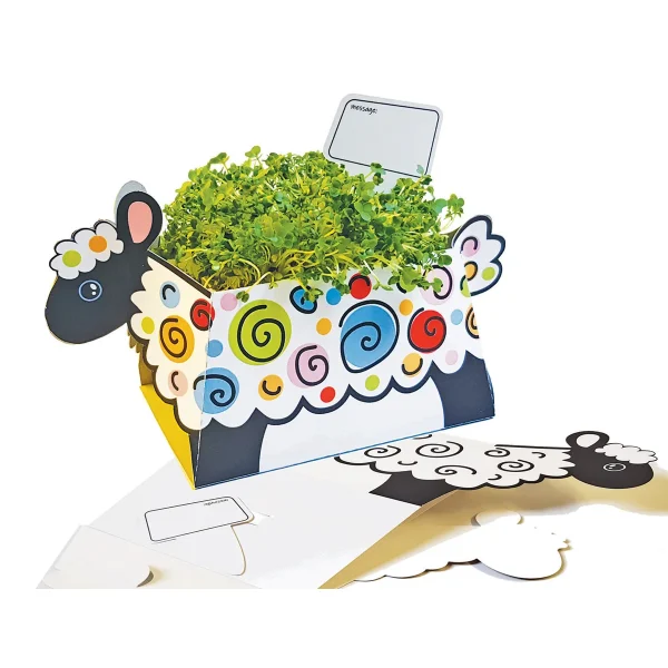 Pot de Plante Mouton — Eduplay jouet pédagogique maternelle