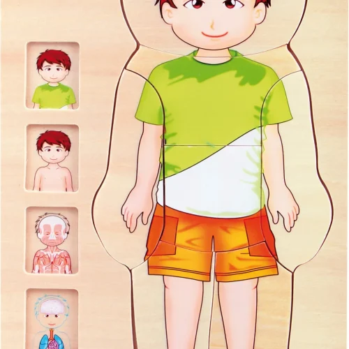 Puzzle à Couches Anatomie Garçon — Millhouse Jouets Éducatifs École