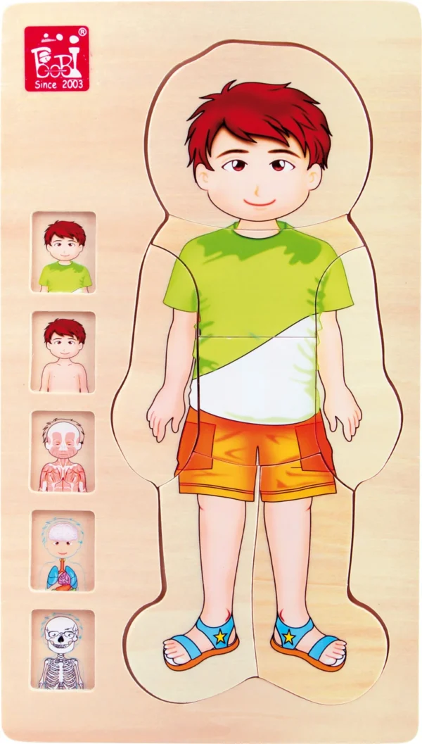 Puzzle à Couches Anatomie Garçon — Millhouse Jouets Éducatifs École