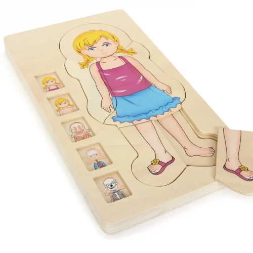 Puzzle à Couches Anatomie Fille — Millhouse Jouets Éducatifs École