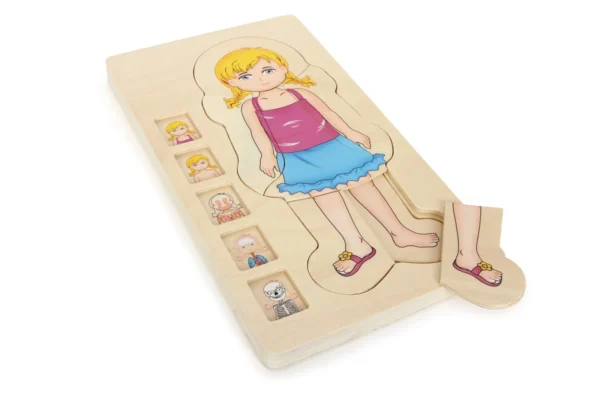 Puzzle à Couches Anatomie Fille — Millhouse Jouets Éducatifs École