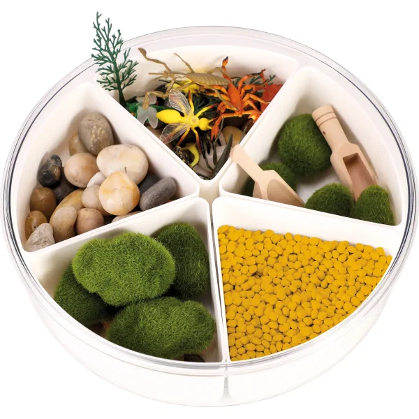 Boîte sensorielle Insectes — Eduplay jouet éducatif