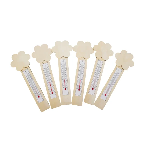 Thermomètre DIY Fleurs - Set de 6 — Eduplay jouet éducatif maternelle