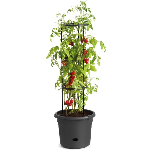 Pot à Tomates — Eduplay Jouets Pédagogiques Crèche