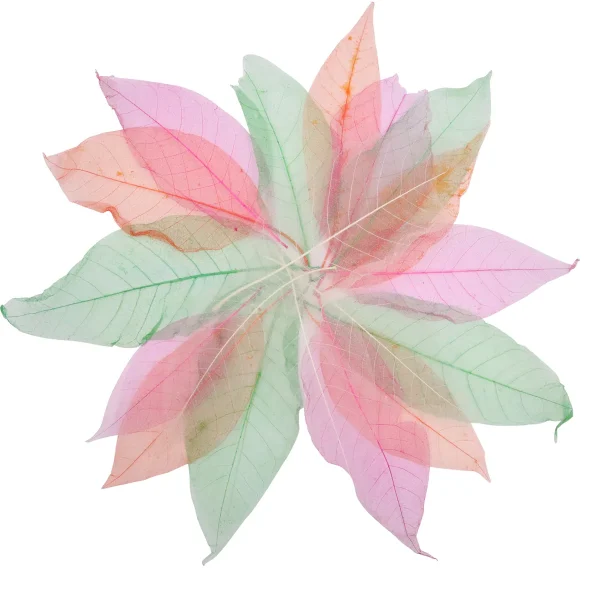 Feuilles transparentes, set de 20 — Jeu éducatif Eduplay pour la crèche